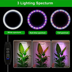 Luz de Cultivo para Plantas de Interior