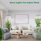 Luz de Cultivo para Plantas de Interior