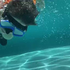 AquaClear Set de Snorkel – Impermeable, Cómodo y con Gran Visibilidad