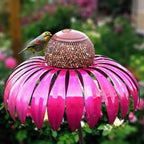 Alimentador de Aves Coneflower
