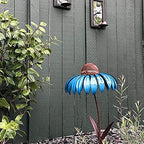 Alimentador de Aves Coneflower