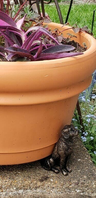 Patas de Maceta para Plantas