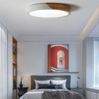 Moderna Lámpara de Techo LED - Iluminación Minimalista para tu Interior
