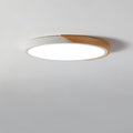 Moderna Lámpara de Techo LED - Iluminación Minimalista para tu Interior