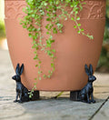 Patas de Maceta para Plantas