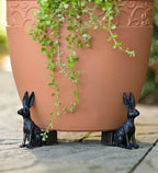 Patas de Maceta para Plantas