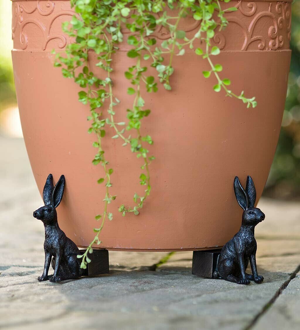 Patas de Maceta para Plantas