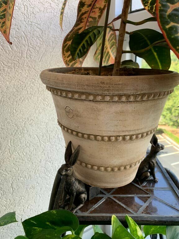 Patas de Maceta para Plantas