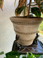 Patas de Maceta para Plantas