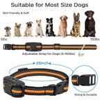 Collar E de Entrenamiento Remoto para Perros