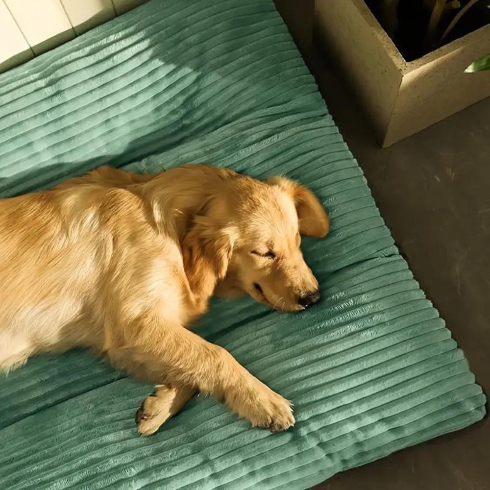 PetHeaven • Cama de Corduroy Sobredimensionada