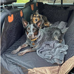 ComfortCarrier | Donde la protección del automóvil y la comodidad para tu perro se encuentran | +Correa de perro segura
