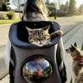 Mochila de Viaje para Gatos Grandes con Ventilación de Burbuja