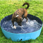 SplashZone • Piscina para Perros