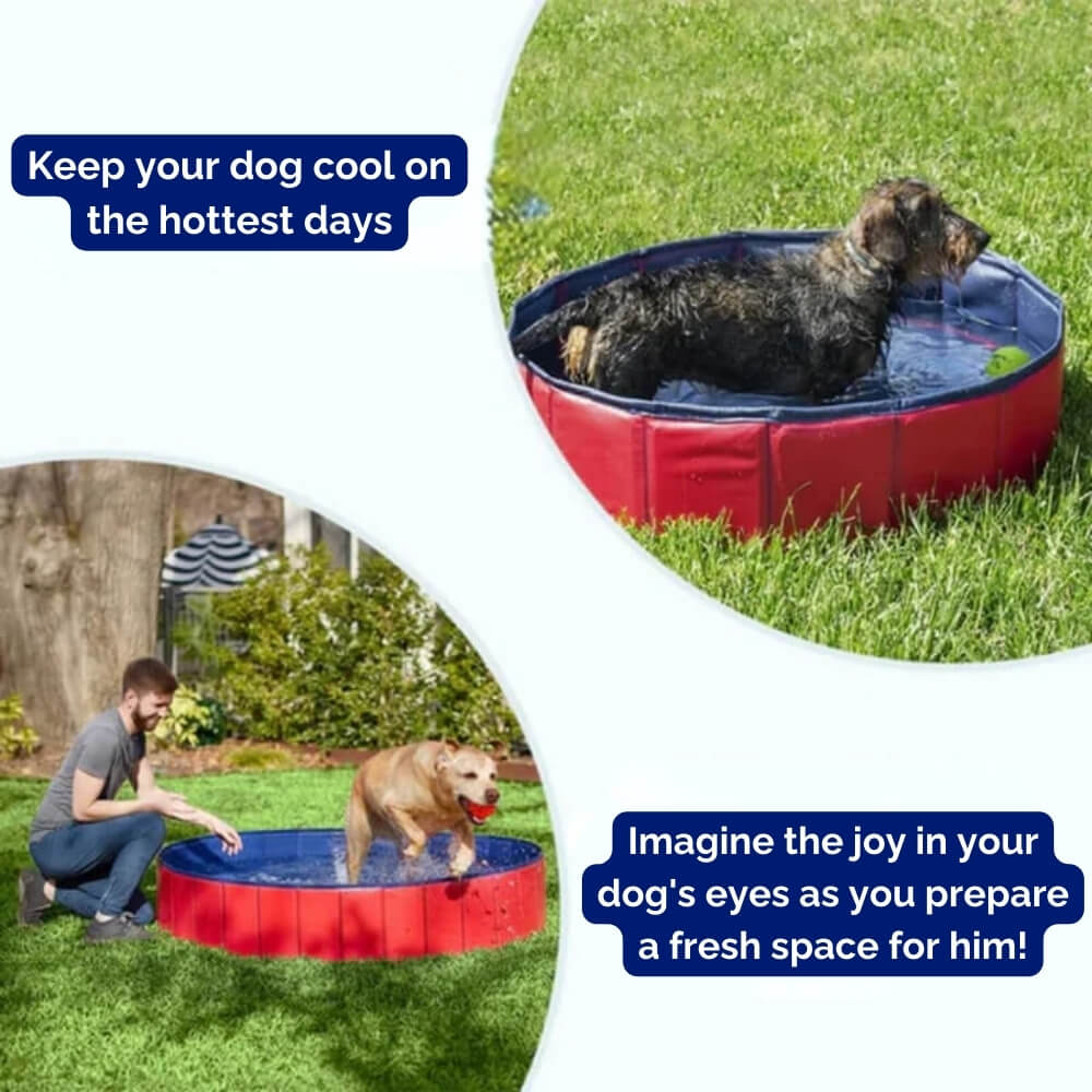 SplashZone • Piscina para Perros