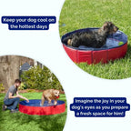 SplashZone • Piscina para Perros