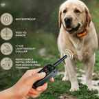 Collar E de Entrenamiento para Perros Impermeable de Largo Alcance 1000m & Control Remoto