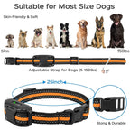Collar Electrónico de Entrenamiento para Perros Impermeable 3300Ft con Control Remoto