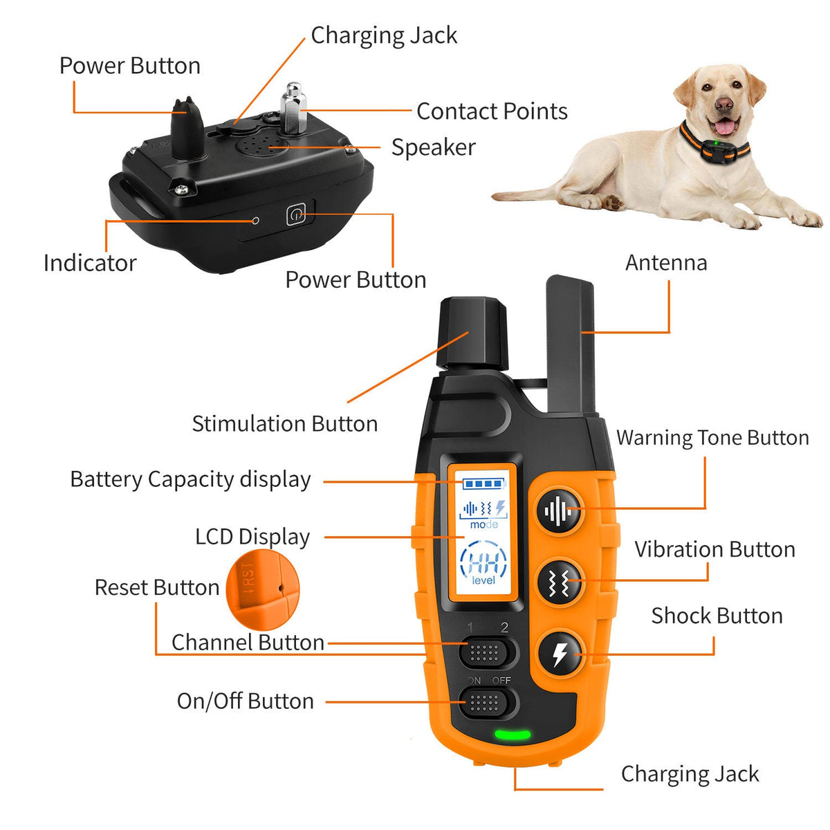 Collar Electrónico de Entrenamiento para Perros Impermeable 3300Ft con Control Remoto